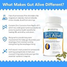 Gut Alive - All Natural Support to Fight IBS, Heartburn, Acid Indigestion, Acid Reflux, Bloating & Gas. Unique Formulation (60 Count